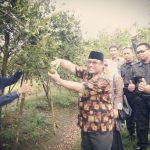 Anggota DPRD Jawa Timur Sebut Jeruk Semboro Jadi Trade Merk