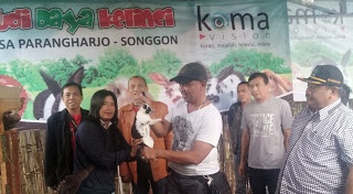 Cerdas Komavision Gandeng Warga Songgon Budidaya Kelinci Media