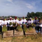 Ifan: Potensi Pertanian Jember Bagus, tapi Punya Problem Krusial