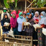 Pasangan KarSa Jawab Keluh Kesah Peternak Ayam Dengan Program Kebangkitan Ekonomi