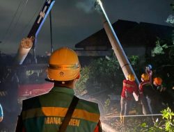 446 Gardu dan 95 Ribu Pelanggan Terdampak Mati Lampu Sudah Dinormalkan PLN