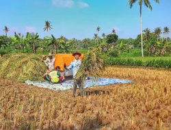 Agar Mudah Akses Pupuk Bersubsidi, DKPP Sumenep Imbau Petani Masuk Poktan