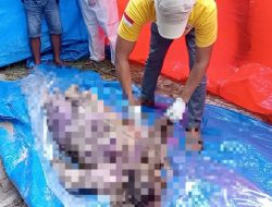 Mengenang MR, Perempuan Pulau Sapeken yang Dibunuh Suaminya