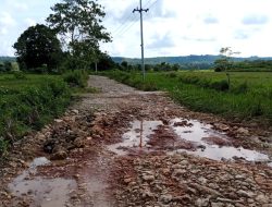 Puluhan Tahun Jalan Menuju Penyeberangan di Arjasa Rusak, Warga Ajak Bupati Sumenep Turun ke Lokasi