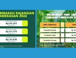 Pemkab Pamekasan Klaim Biaya yang Dikeluarkan Petani untuk Tanam Tembakau 2023 Menurun