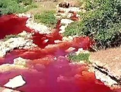 Terungkap! Merah Sungai Pamekasan Disebabkan 15 Kilogram Remasol: Bubuk Pewarna Batik