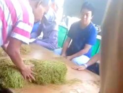 Beredar Video Sebut Gudang Tembakau Pamekasan Ambil Sampel 4 Kg, Ini Kata Pemiliknya!