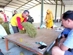 Gudang Kuning Pamekasan Akui Ambil Sampel Tembakau Lebih 1 Kg, DPRD: Jelas Langgar Perda 2/2022!