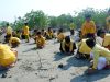 Ajak Santri Cintai Alam, Madin Tanwirul Islam Pamekasan Peringati HSN dengan Tanam Mangrove