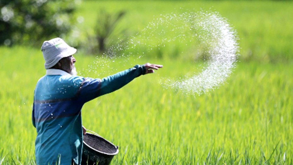 Petani Keluhkan Harga Pupuk Subsidi Lampaui HET, Begini Tanggapan ...