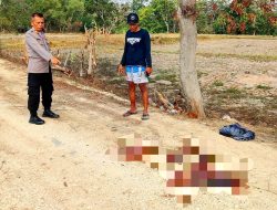 Polisi Periksa 4 Saksi Tewasnya Perempuan Asal Jateng di Sampang