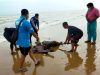 Hendak Cari Rongsokan, Warga Dasuk Sumenep Temukan Mayat Tanpa Busana di Pinggir Pantai