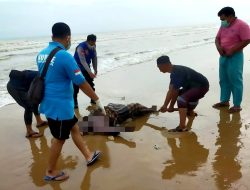 Hendak Cari Rongsokan, Warga Dasuk Sumenep Temukan Mayat Tanpa Busana di Pinggir Pantai