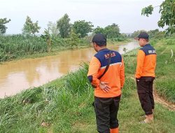 60 Hektare Sawah Padi di Sumenep Terendam Banjir, Petani Terancam Gagal Panen