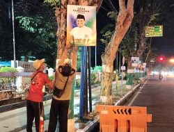 Dipaku ke Pohon, Baliho Ra Ali PKB Dicopot Tim Penegak Perda