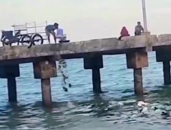 DLH Sayangkan Aksi Warga Buang Sampah di Pelabuhan Branta Pamekasan