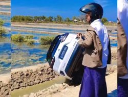 Hendak Menuju Sumenep, Xpander Nyungsep ke Tambak di JLS Sampang