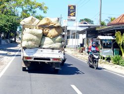 20 Gudang Tembakau di Pamekasan Kantongi Izin Beli, Petani Harap Harga Meningkat!