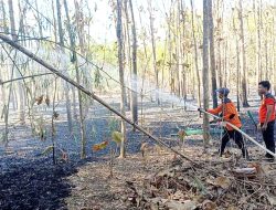 Selama Setengah Bulan, Kebakaran Lahan di Pamekasan Terjadi 15 Kali