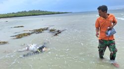 Mayat Laki-Laki Ditemukan Mengambang di Pantai Arjasa Sumenep, Ini Penjelasan Polisi!