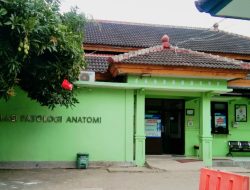 Potensi RSUD Smart Pamekasan Jadi Rujukan Pengobatan Kanker, Begini Penjelasan Kabid Pelayanan Medik