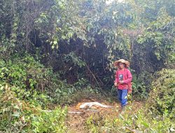 Fakta Sumur Bor di Sumenep Semburkan Air Setinggi 20 Meter, Pemilik Duga Mengandung Fosfat!