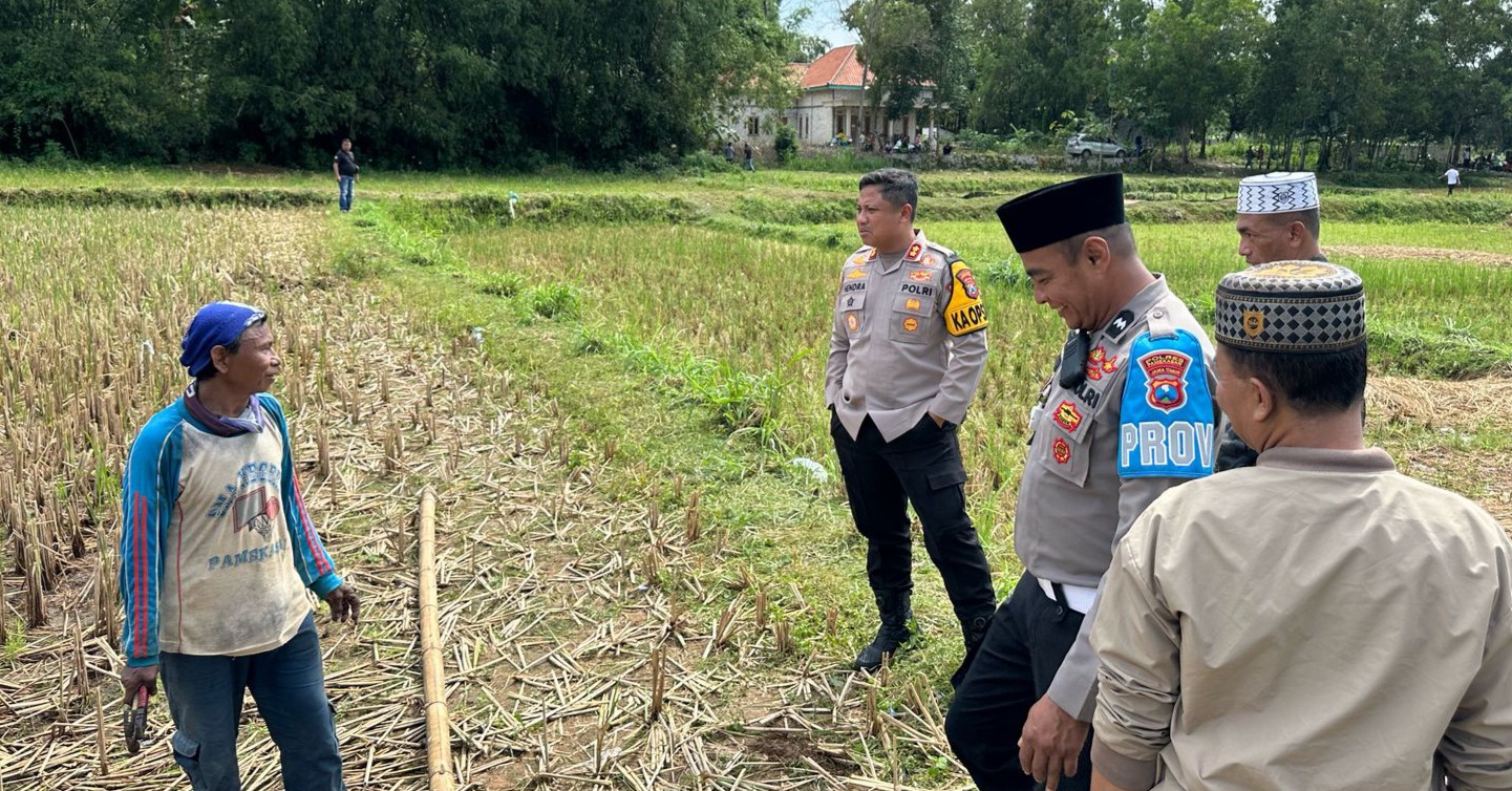 Pesta petasan proppo