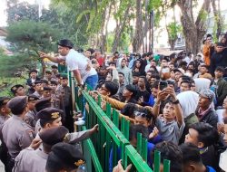 Tolak Cabut Laporan Perusakan Mangrove, Kantor Perhutani Madura Disegel PMII Pamekasan