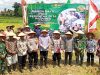 Petani Pamekasan Ikut Panen Raya Serentak, DKPP Target 176.111 Ton Padi di 2025