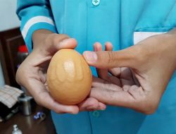 Viral Telur Berlafaz Allah di Jember, Warga Berbondong-bodong Menyaksikan