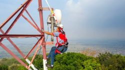 Akses Internet di Masalembu Lemot, Diskominfo Sumenep: Tak Bisa Disamakan dengan Darat!