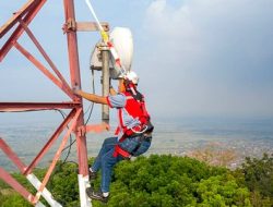 Akses Internet di Masalembu Lemot, Diskominfo Sumenep: Tak Bisa Disamakan dengan Darat!