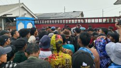 Tambak Udang Jember