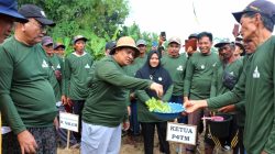 P4TM Apresiasi Langkah APTMA Perjuangkan Kesejahteraan Pedagang dan Petani ke Senayan