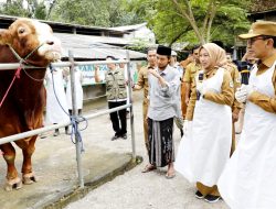 DKPP Tinjau Sapi Kurban Prabowo yang Beli ke Peternak Pamekasan Rp100 Juta
