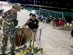 Hendak Pulang Berlayar, Nelayan Masalembu Sumenep Temukan Sabu 35 Kg di Laut