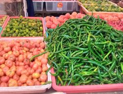 Harga Sayur di Jember Naik Jelang Lebaran 2026, Cabai Tembus Rp95 Ribu per Kilogram