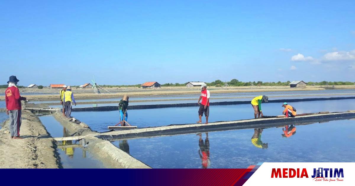 Produksi Lebih Awal, Petani Garam Madura Berharap Tak Ada Impor Tahun ...